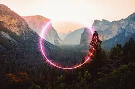Signal Trace artwork
